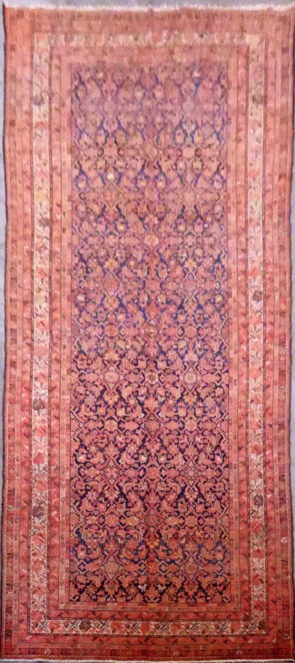 P1100224 Medium bea7e7dd 96c5 4c4d bf62 48fd619b944c